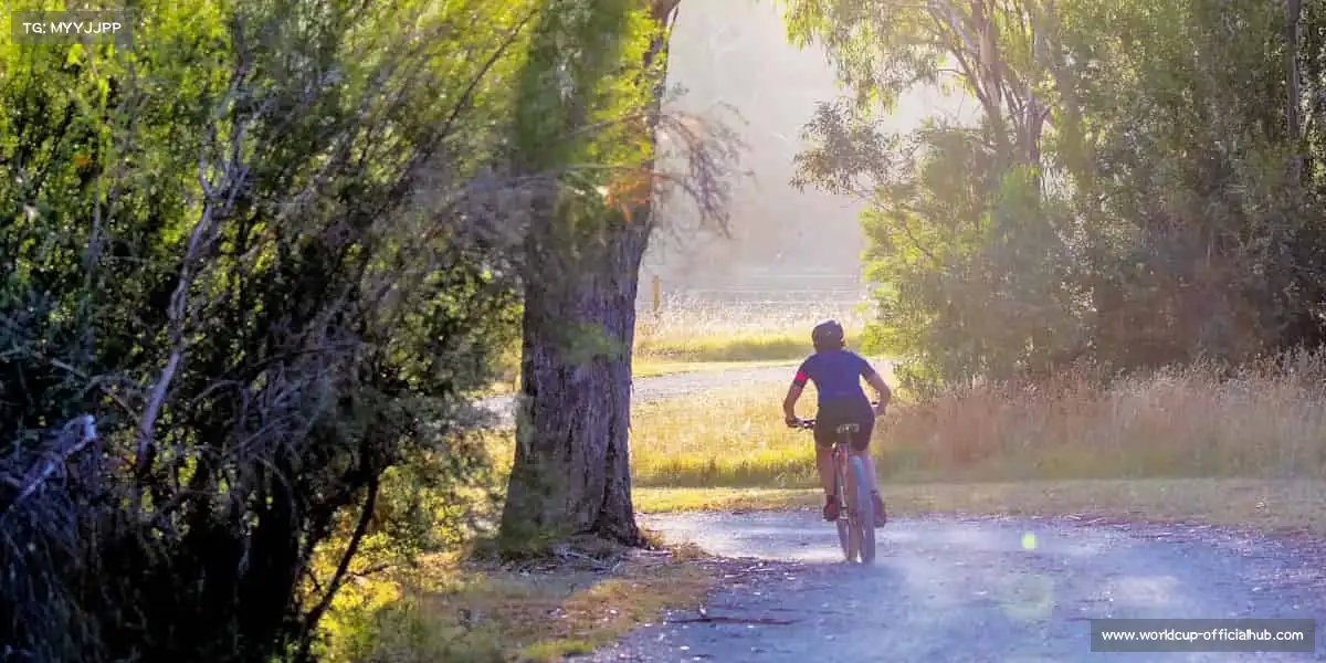 行业领先的理由